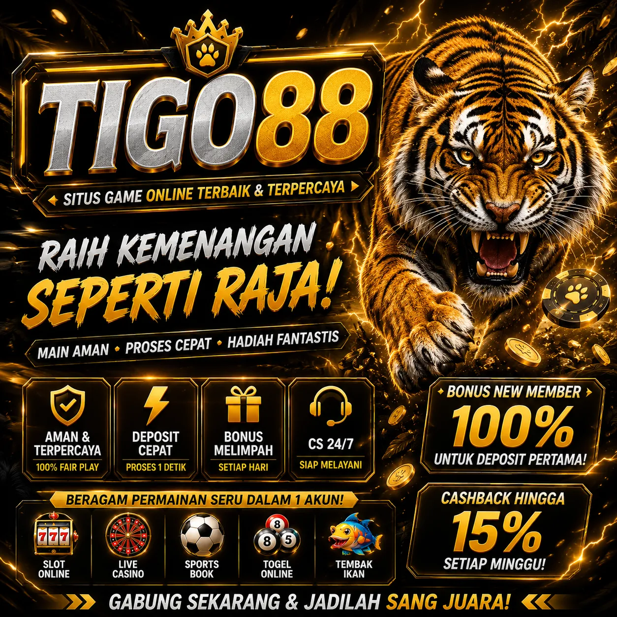 Tigo88